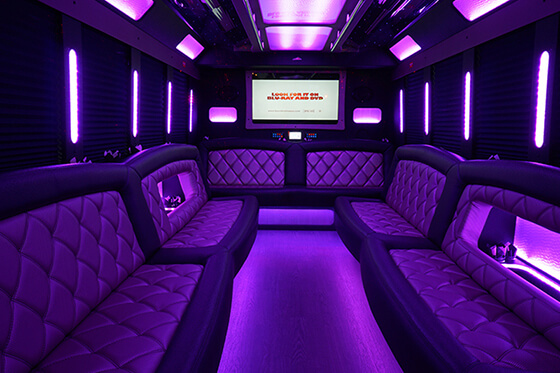 30 passenger party bus